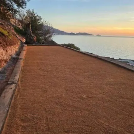 Villa Jfk
